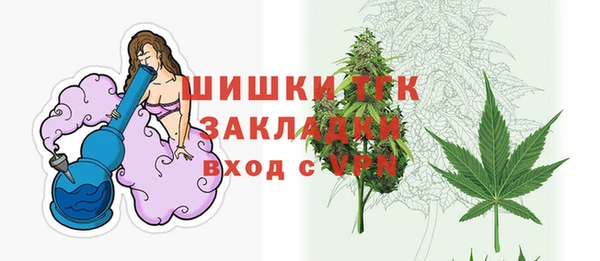 индика Балахна