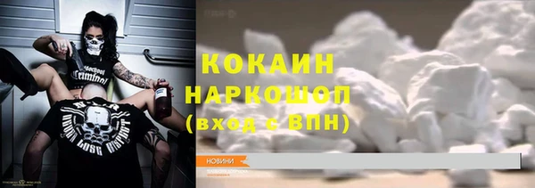 индика Балахна