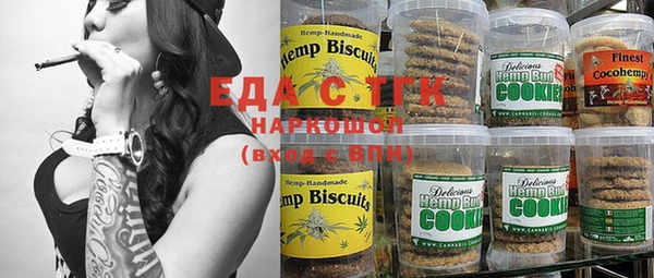 индика Балахна