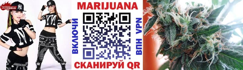 Конопля гибрид  Бирюсинск 